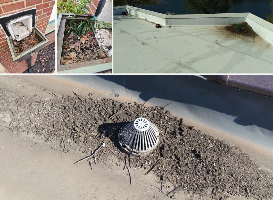 Clogged commercial roof drains
